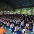 a (3)